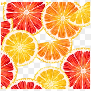 Grapefruit, Lemon Clipart, Orange, Lemon Slice, Vector - Lemon And Grapefruit Background, HD Png Download