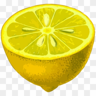 Meyer Lemon,bitter Orange,plant - Low Resolution Png, Transparent Png