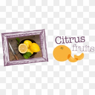 Citrus-fruit - Sweet Lemon, HD Png Download