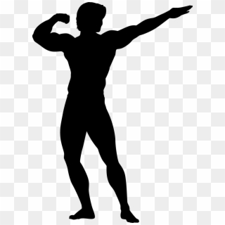 Transparent Body Builder Clipart - Body Building, HD Png Download