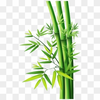 Bamboo Vector Clipart , Png Download - Bamboo Png, Transparent Png