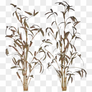 Transparent Bamboo Plant Png - Bamboo Wall Art Png, Png Download