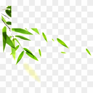 Hand Painted Bamboo Leaves Hd Png - Leaf Images Hd Png, Transparent Png