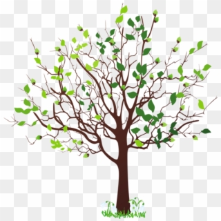 Transparent Family Tree Png - Clip Art Spring Tree, Png Download