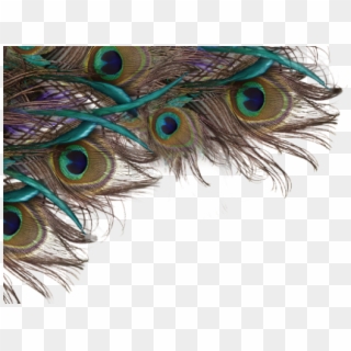 Peacock Clipart Png Format - Peacock Feather Png, Transparent Png
