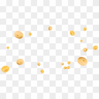 Circle, HD Png Download