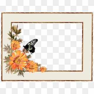 Frame, Border, Flowers, Butterfly, Decorative - Border Flower Frames Clipart, HD Png Download