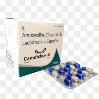 Amoxicillin Cloxacillin Lactobacillus Capsules Manufacturers - Amoxicillin And Cloxacillin Capsules, HD Png Download