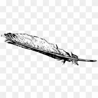 Feather Clip Art, HD Png Download