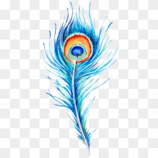 Peacock Feather Hand Drawn Illustration - Pluma De Pavo Real Png, Transparent Png