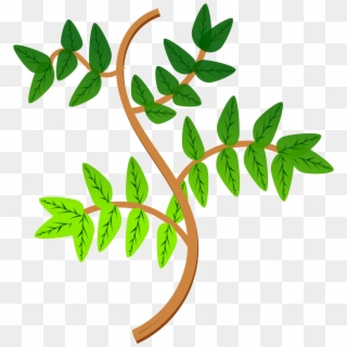 Leaves And Branches Icons - Transpiration Gcse, HD Png Download