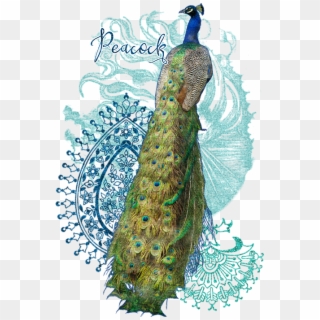India Peacock Paisley Design, HD Png Download