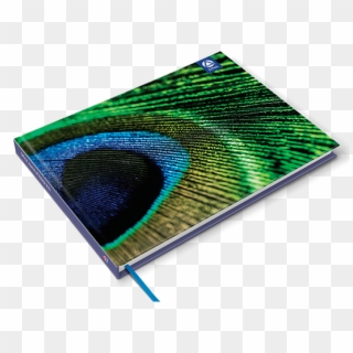 Deluxe Journal - Peacock Feather - Graphic Design, HD Png Download
