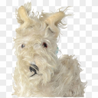 Scottish Terrier, HD Png Download