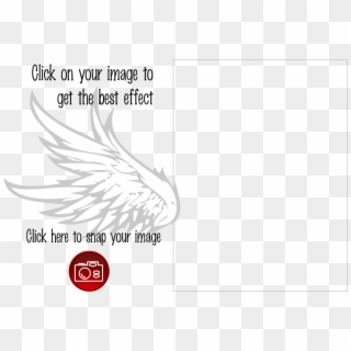 Transparent Feather Clipart Black And White - Малюнки До Міфу Дедал І Ікар, HD Png Download
