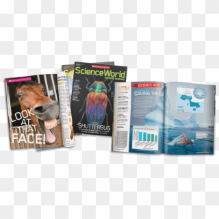 Science Magazines For Middle School, HD Png Download