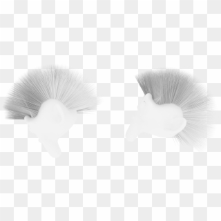 Transparent Single Peacock Feathers Png - Monochrome, Png Download