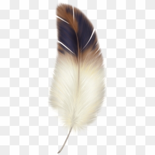 Brown And White Feather - Png Feather, Transparent Png
