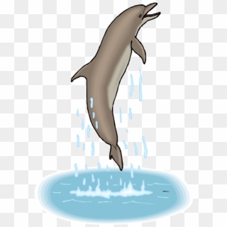 Transparent Dolphins Clipart - Dolphins And Their Food, HD Png Download