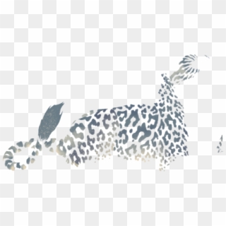 Cheetah, HD Png Download