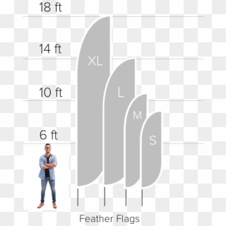 Feather Flag Sizes, HD Png Download