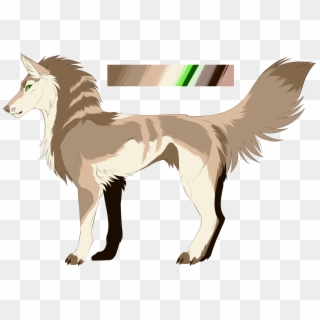 Transparent Png