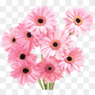 Flowers Png Tumblr - Flowers Png, Transparent Png