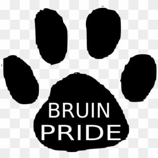 Bruin Clip Art, HD Png Download
