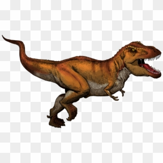 What The Fuck Does A T Rex Do With His Little Retarded - Dinosaur Flashcard, HD Png Download