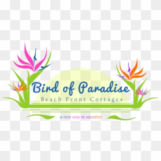 Transparent Bird Of Paradise Plant Png, Png Download