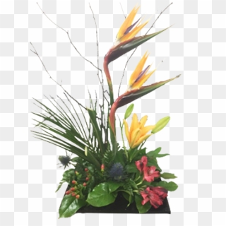 Flower,floristry,bird Of Paradise,plant,flower Arranging,floral - Bouquet, HD Png Download