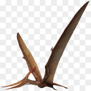 The Isle Wiki - Pterodactyl Png, Transparent Png