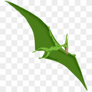 Plant,flora,leaf - Pterodactyl Png, Transparent Png