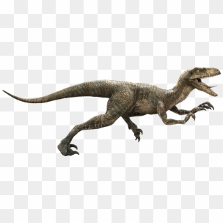 Raptor Dinosaur Png - Jurassic World Green Raptor, Transparent Png