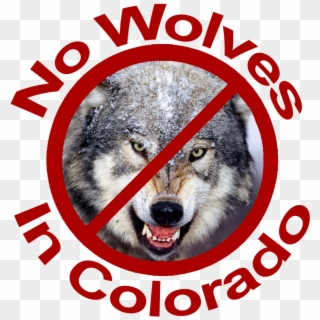 No Wolves In Colorado Red Lettering - Dog Yawns, HD Png Download