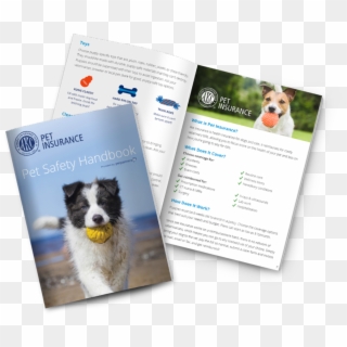 Pet Safety Handbook - Bernese Mountain Dog, HD Png Download
