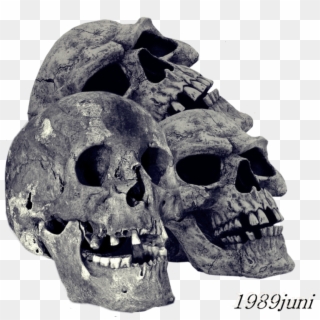 Transparent Pile Of Bones Clipart - Transparent Skull Png, Png Download