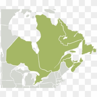 Transparent Canada Map Png - Blank Eastern Canada Map, Png Download