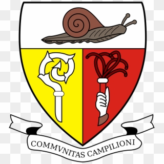 It Campione D Italia - Snail Coat Of Arms, HD Png Download