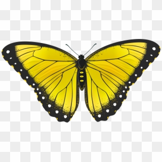 Yellow Butterfly Transparent Png Clip Art Image Png, Png Download