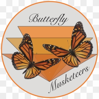The Butterfly Musketeers - Monarch Butterfly, HD Png Download