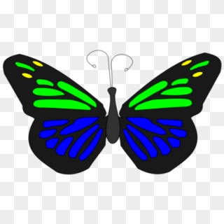 Butterfly - Transparent Butterfly Animated Png, Png Download