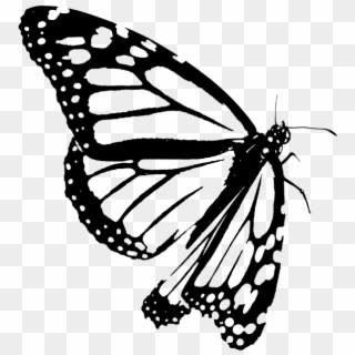 Monarch, Butterfly, Clipart, Black, White, Outline - Monarch Butterfly, HD Png Download