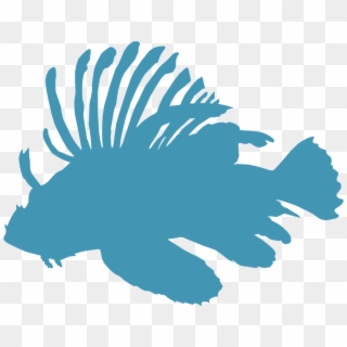 Transparent Fish Icon Png - Garibaldi (fish), Png Download