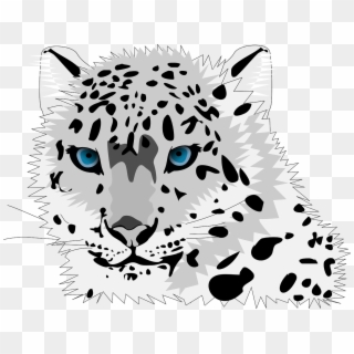 Snow Leopard Clip Art, HD Png Download