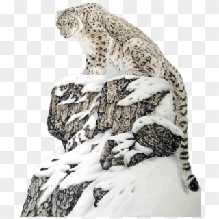 Transparent Cheetah Png - Chinese Snow Leopard Art, Png Download