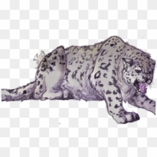 Snow Leopard Digital Drawing, HD Png Download