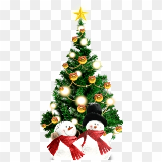 Clip Art Tree Ornament Spruce Fir - Christmas Tree, HD Png Download