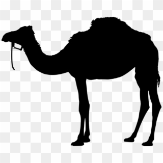 Camel, Animal, Silhouette, Back, Black, Desert, Design - Camel Png Hd, Transparent Png