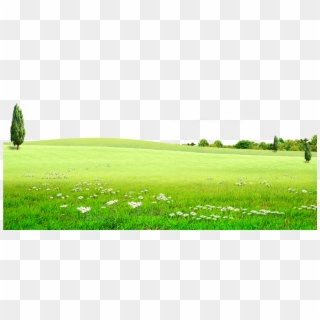 Grass Background Png - Nature Green Background Png, Transparent Png